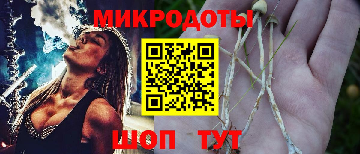 Псилоцибиновые грибы мицелий Алексин