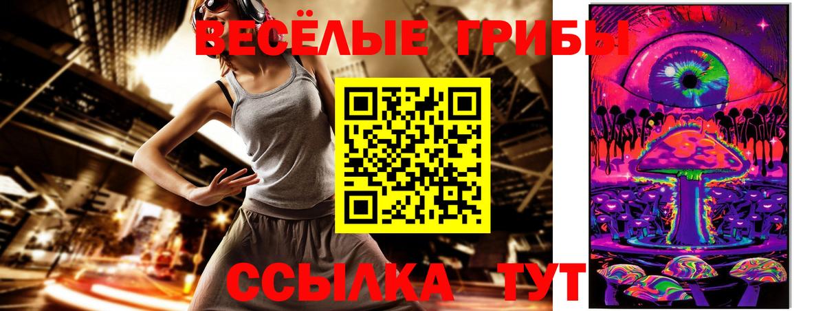 Псилоцибиновые грибы Psilocybe  Псилоцибиновые грибы Cubensis  как найти закладки  Вход с VPN  Алексин 